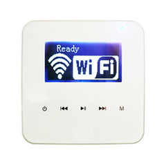 Встроенный Sky Sound Wi-Fi Wall Player N-230 (2*30W) WI-FI WALL PLAYER N-230 (2*30W) фото