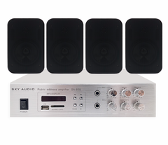 Система фонового озвучивания SKY SOUND wsb-2404 комплект черный, Белый